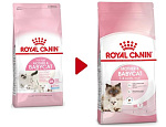 Royal Canin Mother & Babycat